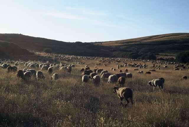 Montezinho A Lagosta Perdida מראה חיצוני תמונה